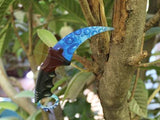 Cuchillo tipo karambit de hoja curva para cacería y campismo — imagen 2 de 7