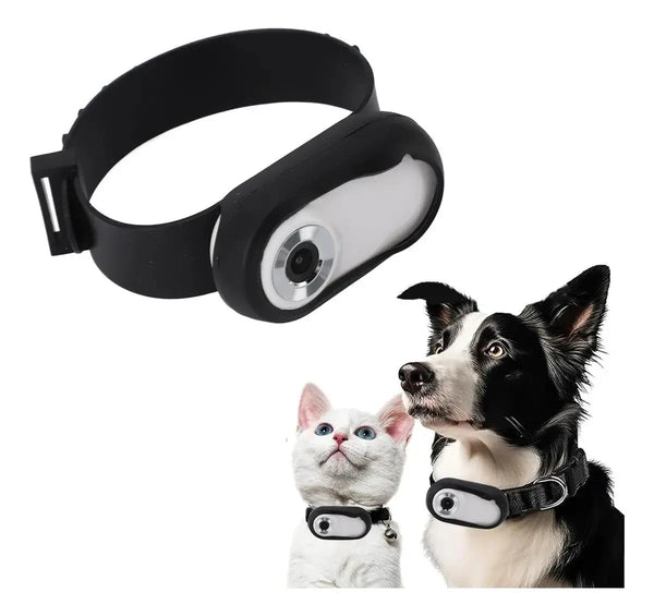 Cámara Collar Pulsera para Mascotas o Ciclistas Video Dv Mini 1080p Fralugio