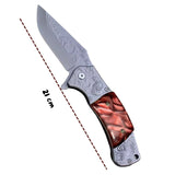 Navaja plegable de 21 cm con hoja clip point grabada con diseños de fauna — imagen 4 de 4
