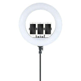 Aro De Luz Led 14 Pulgadas Fralugio Profesional Maquillaje Videollamada Con Tripie Gratis