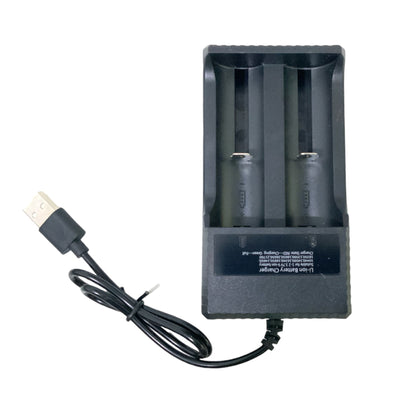 Cargador USB para 2 o 4 Pilas - Gadgets y Tecnología en Fralugio México