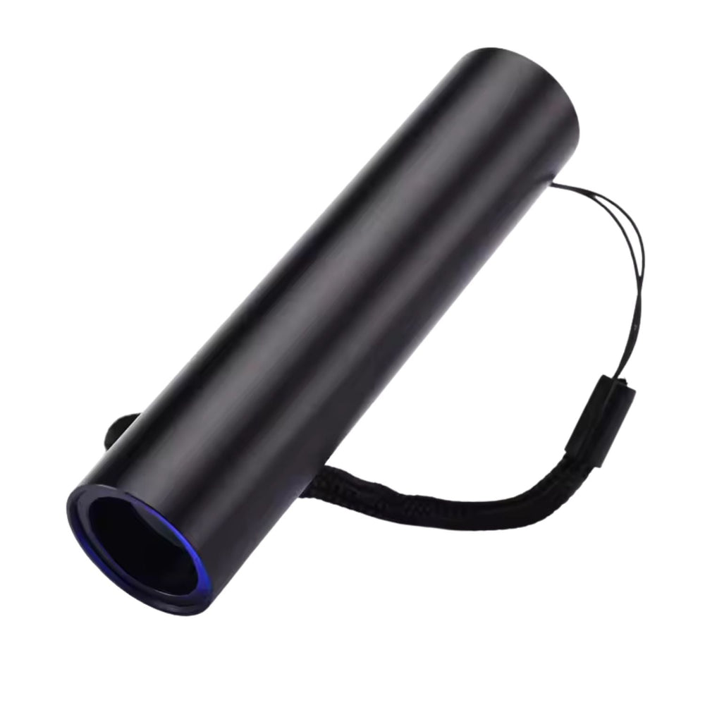 Mini Lámpara UV Recargable USB-C con Filtro Negro - Gadgets y Tecnología en Fralugio México