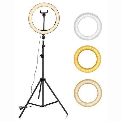 Aro De Luz Led 10 Pulgadas Fralugio Profesional Maquillaje Videollamada Con Tripie Gratis - Gadgets y Tecnología en Fralugio México